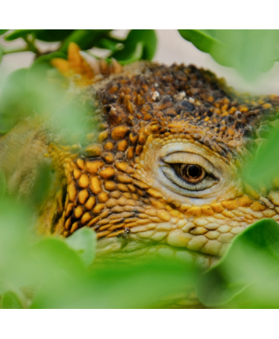 Mug Today is a good day