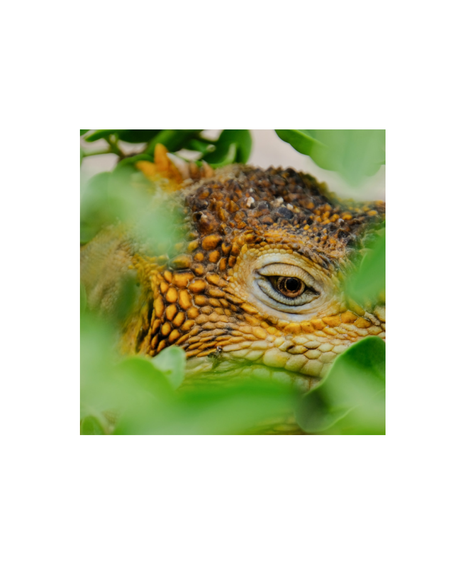 Mug Today is a good day